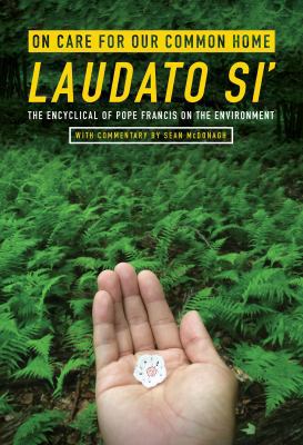 On Care for Our Common Home, Laudato Si': The E... 1626981736 Book Cover