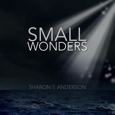 Small Wonders 1456813897 Book Cover