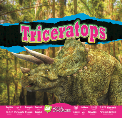 Triceratops B0GN2QLDXY Book Cover