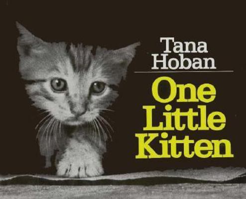One Little Kitten 0688842224 Book Cover