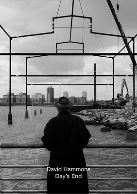 David Hammons: Day's End 0300263902 Book Cover