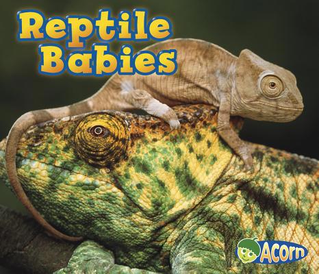Reptile Babies 1432974963 Book Cover