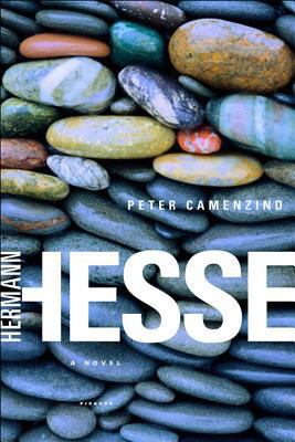Peter Camenzind 0312422636 Book Cover