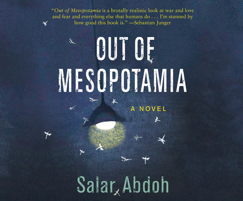 Out of Mesopotamia 1662027893 Book Cover
