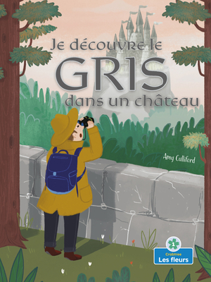 Je Découvre Le Gris Dans Un Château (I Spy Gray... [French] 103960191X Book Cover