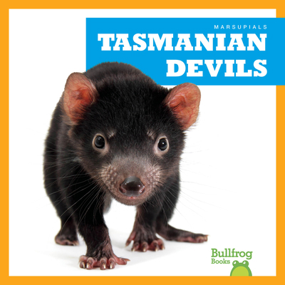 Tasmanian Devils B0DCHM3YKH Book Cover