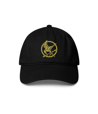 The Hunger Games: Mockingjay Hat            Book Cover