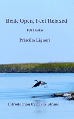 Beak Open, Feet Relaxed: 108 Haiku 1493549596 Book Cover