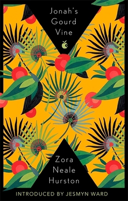 Jonah's Gourd Vine (Virago Modern Classics) 0349012229 Book Cover