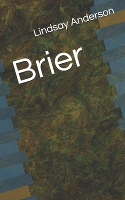 Brier B087617M1H Book Cover