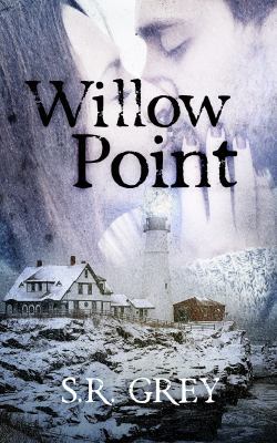 Willow Point: A Harbour Falls Mystery #2 0615782892 Book Cover