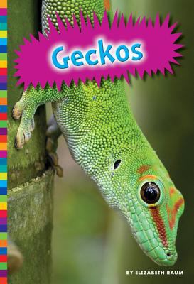 Geckos 1607534851 Book Cover