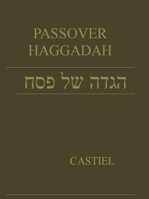Passover Hagadah 1329745779 Book Cover