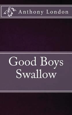 Good Boys Swallow 149125369X Book Cover
