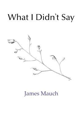What I Didn't Say 1090350953 Book Cover