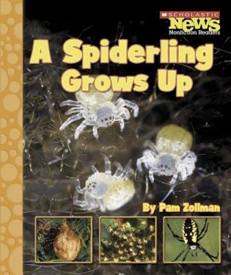 A Spiderling Grows Up 0516249460 Book Cover