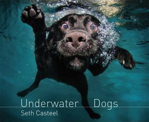 Underwater Dogs. by Seth Casteel 0755364112 Book Cover