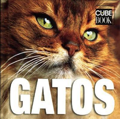Gatos / Cats (Spanish Edition) [Spanish] 9707186747 Book Cover