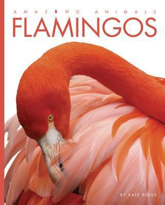 Amazing Animals Flamingos 1608184889 Book Cover