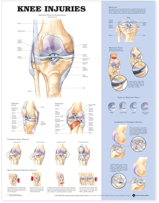 Knee Injuries Anatomical Chart 1587797577 Book Cover