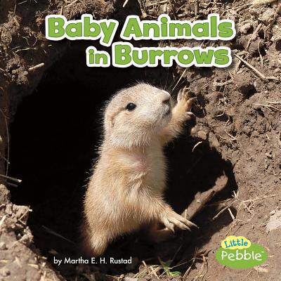 Baby Animals in Burrows 1515738310 Book Cover