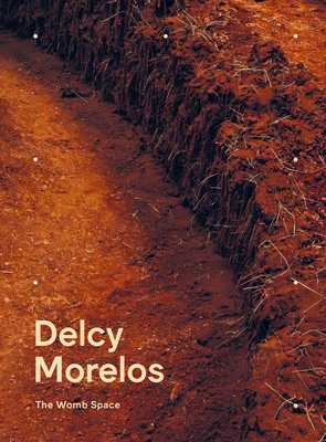 Delcy Morelos: The Womb Space 841029057X Book Cover