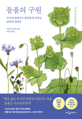 All My Wild Mothers [Korean] 8901286378 Book Cover