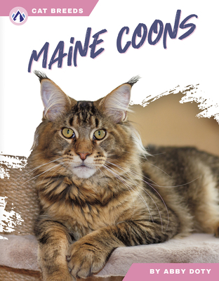 Maine Coons B0D9M4RYX8 Book Cover