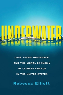 Underwater: Loss, Flood Insurance, and the Mora... 0231190263 Book Cover