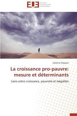 La Croissance Pro-Pauvre: Mesure Et Déterminants [French] 384173247X Book Cover