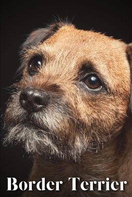 Border Terrier: Dog breed overview and guide B0C9SJ2PPJ Book Cover