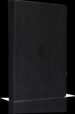 Value Thinline Bible-ESV-Flame Design 1433519704 Book Cover