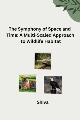 The Symphony of Space and Time: A Multi-Scaled ... 3384277848 Book Cover