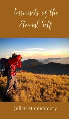 Tesseracts of the Eternal Self 3690800013 Book Cover