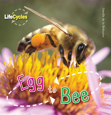 Egg to Bee 1682970329 Book Cover