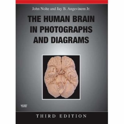 The Human Brain in Photographs and Diagrams [Wi... 0323045731 Book Cover