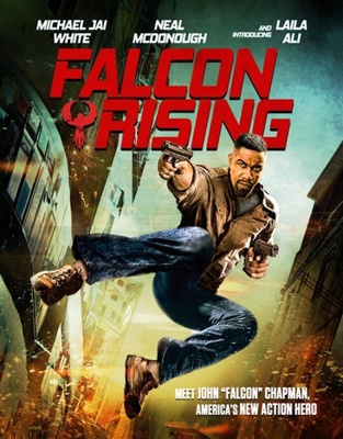 Falcon Rising B08PX7DF7P Book Cover