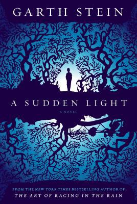 A Sudden Light 1439187037 Book Cover