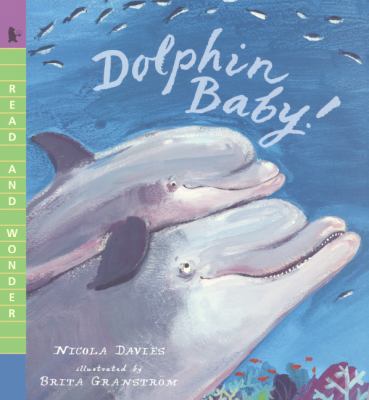 Dolphin Baby! 0606351663 Book Cover