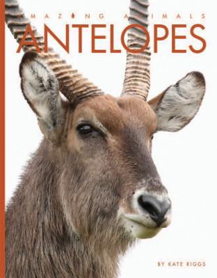 Antelopes 1628322144 Book Cover