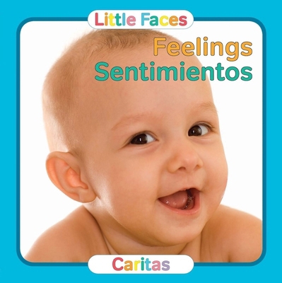 Feelings / Sentimientos [Multiple languages] 0988325306 Book Cover
