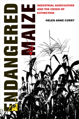 Endangered Maize: Industrial Agriculture and th... 0520307690 Book Cover