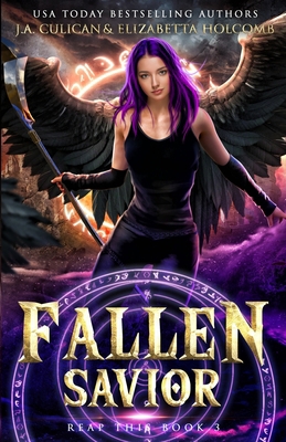 Fallen Savior B098JH79F8 Book Cover