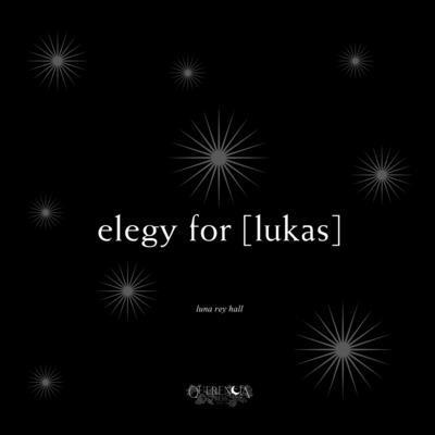 elegy for [lukas] B0FTTP6SB6 Book Cover