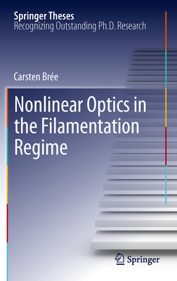 Nonlinear Optics in the Filamentation Regime 3642309291 Book Cover