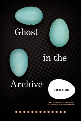 Ghost in the Archive B0F67LT7DC Book Cover