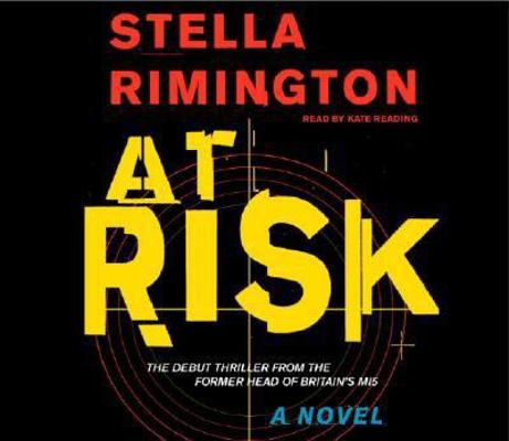 At Risk 0739318411 Book Cover