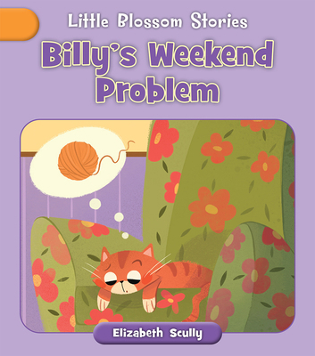 Billy's Weekend Problem 1668955997 Book Cover