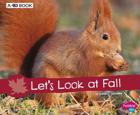 Let's Look at Fall: A 4D Book 1543508766 Book Cover