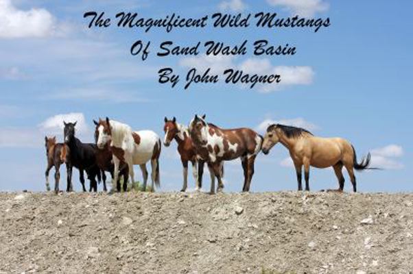 Paperback The Magnificent Wild Mustangs of Sand Wash Book